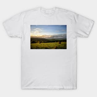 Cattle graze during a sunset looking towards the Trossachs, Scotland T-Shirt